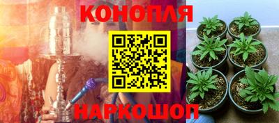 apvp Будённовск