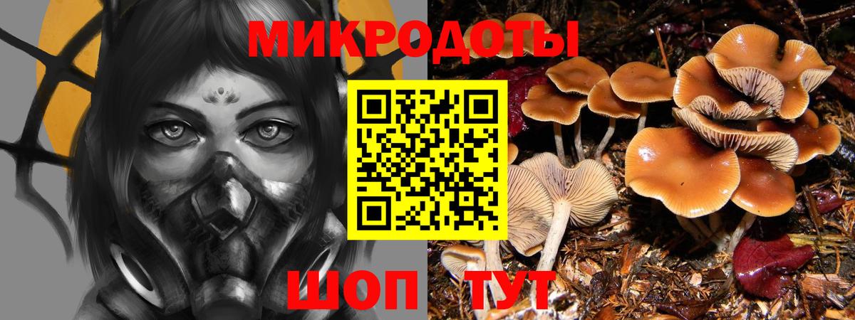 Галлюциногенные грибы ЛСД  Вход с VPN  Галлюциногенные грибы мицелий  Стрежевой 